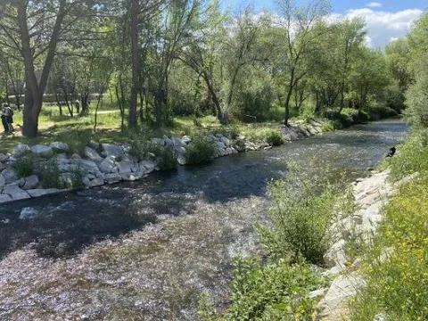 Ruta fluvial del río Manzanares: Casa Campo-presa del Pardo