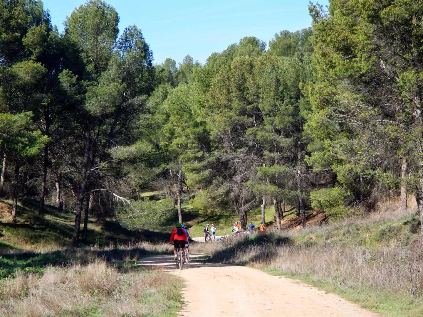 Los Lagartos (Parque de los Cerros)